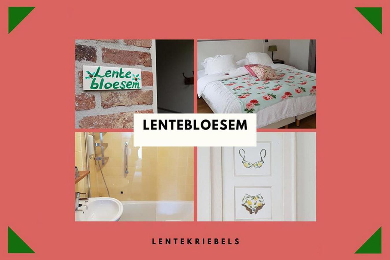 B&B Landgoed Rijckholt Geersdijk Cameră foto